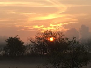 "Ganz wie Dein Vater" @ Reiki in Schönow