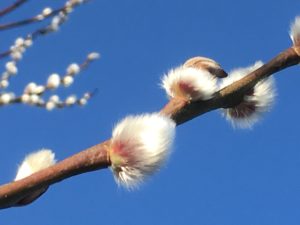 Fehlen Dir Respekt und Anerkennung?/entfällt @ Reiki in Schönow