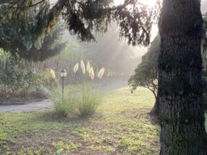 Der Zauber der  Rauhnächte - Zusatztermin @ Reiki in Schönow