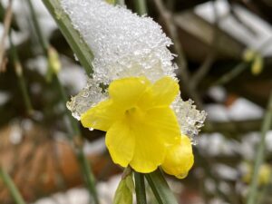 Brauchtum zur Winterzeit @ Reiki in Schönow