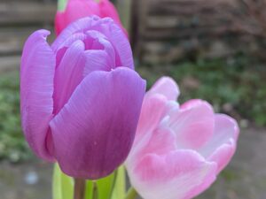 Die Mutter deiner Kindheit - die größten Türen in deine Freiheit @ Reiki in Schönow